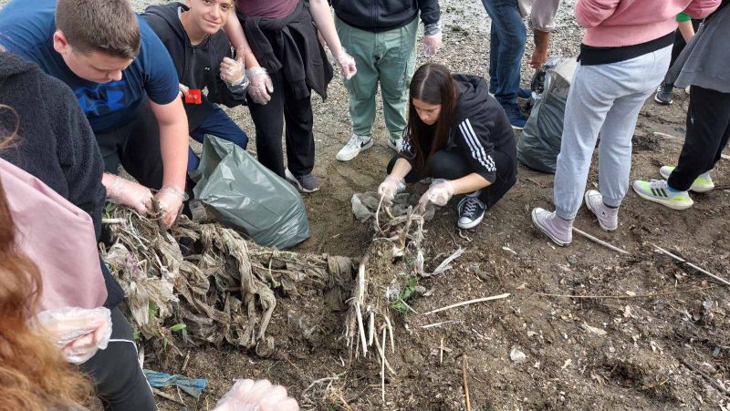 Εύβοια: Το 3ο Γυμνάσιο «καθάρισε»- Δείτε εικόνες