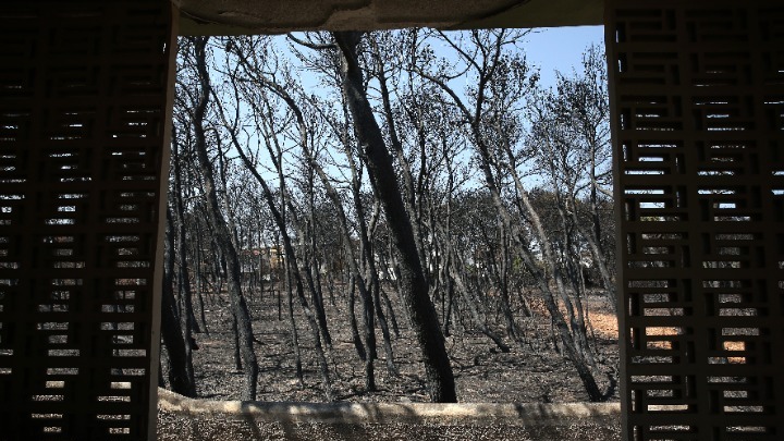 Η Πυροσβεστική ήταν αγανακτισμένη, ζητούσε βοήθεια: Συνεχίζεται η δίκη για τη φωτιά στο Μάτι