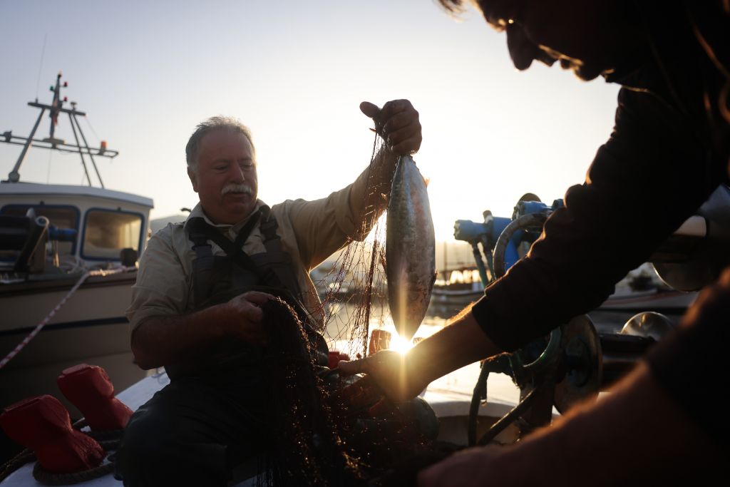 Σήμερα η γιορτή του Ψαρά στην Εύβοια – Πού θα γίνει