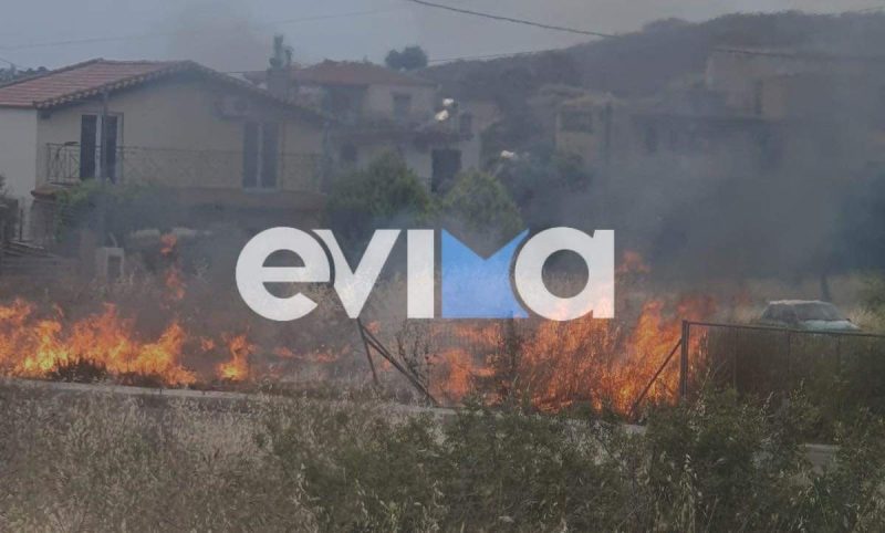 Φωτιές στην Εύβοια: «Υπ’ ατμόν» η Πυροσβεστική μετά την πυρκαγιά στη Χαραυγή- Οι οδηγίες στους πολίτες