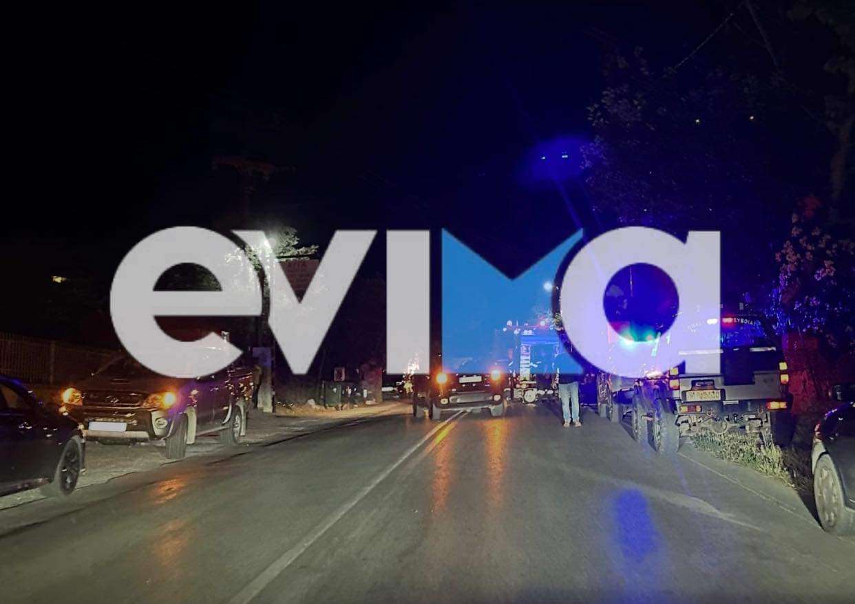 Σοβαρό τροχαίο στην Εύβοια: ΙΧ έπεσε σε κολώνα – Σε κρίσιμη κατάσταση ο οδηγός
