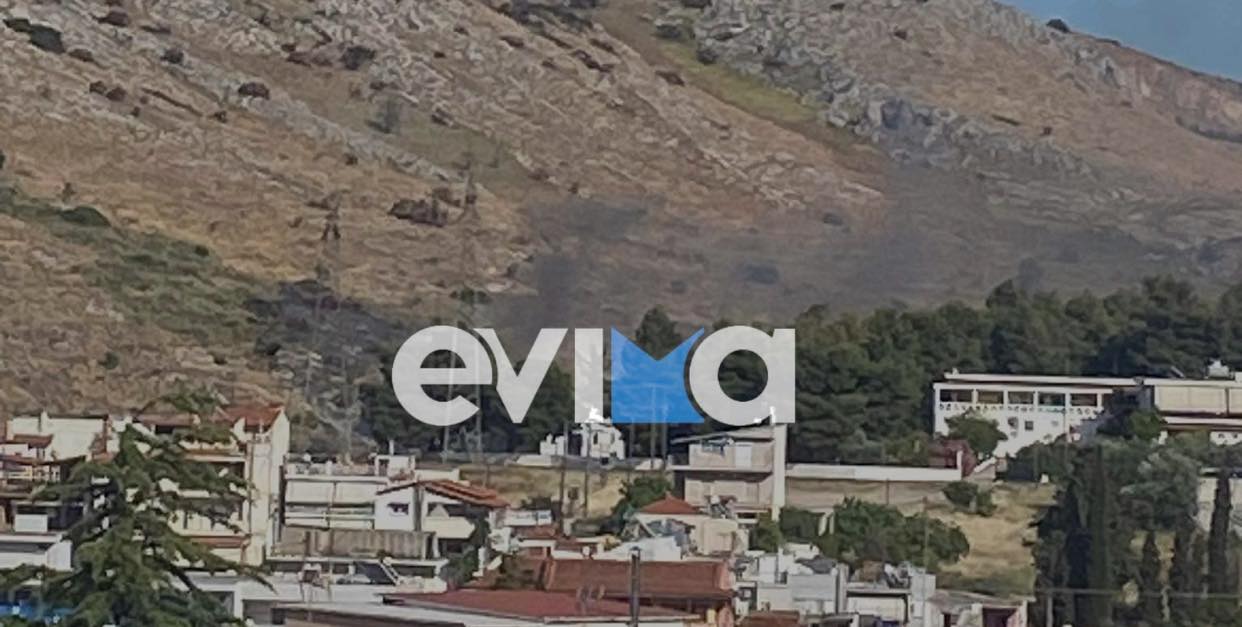 Φωτιά στην Εύβοια κοντά στο Νοσοκομείο Χαλκίδας – Οι πρώτες εικόνες