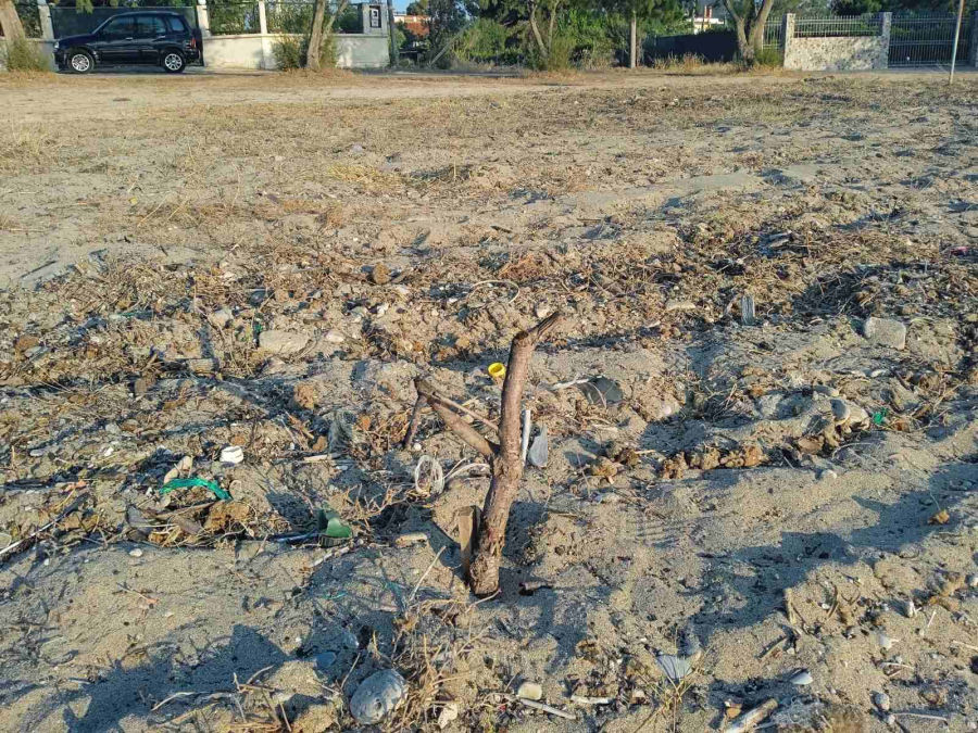 Εύβοια: Έντονες αντιδράσεις για καντίνα σε παραλία – «Είναι οικολογική καταστροφή»