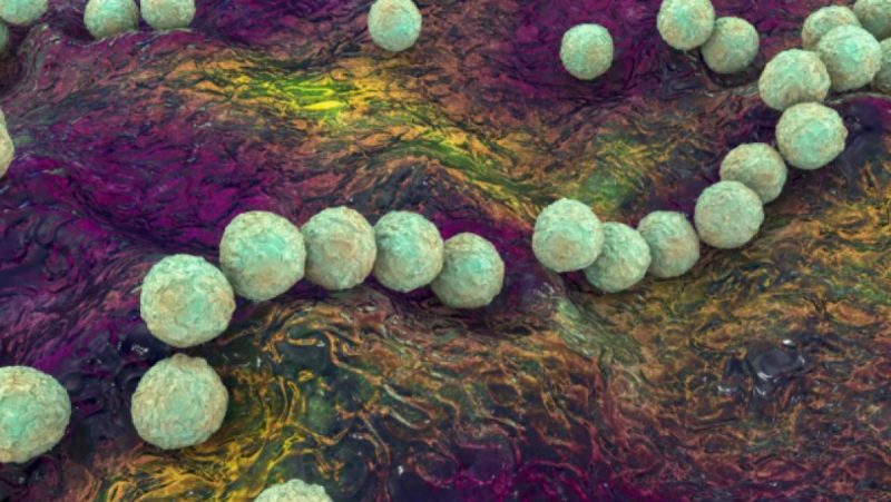 Συναγερμός για το βακτήριο του στρεπτόκκοκου: Τα συμπτώματα, η θεραπεία και οι τρόποι μετάδοσης