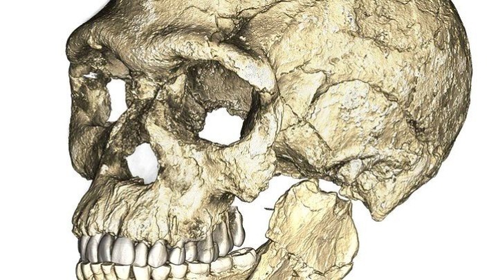 Απίστευτο: Παλαιοντολόγος υποστηρίζει ότι βρήκε τον «μακρινό ξάδελφο» του Homo Sapiens