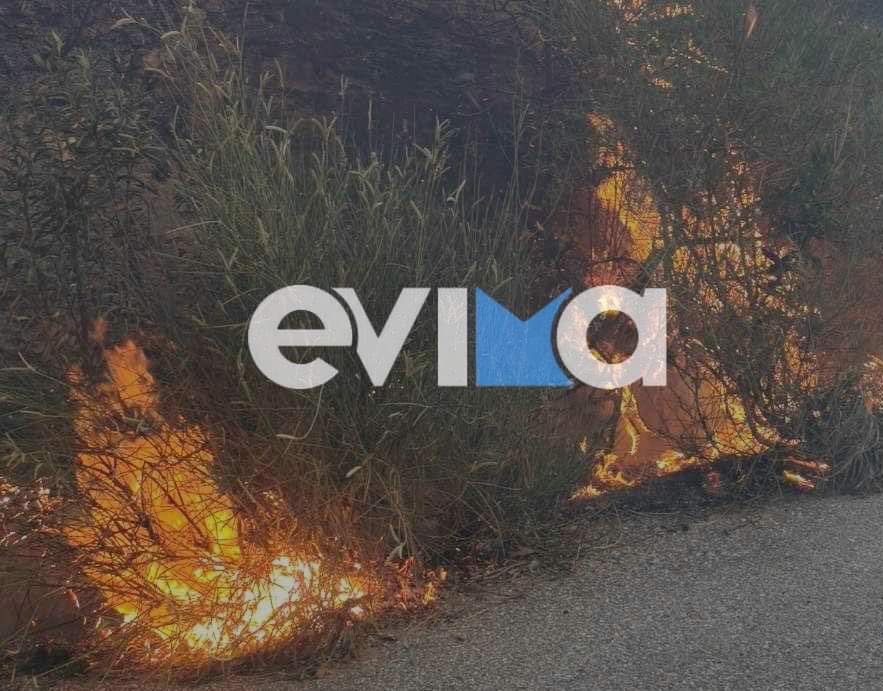 Ακραίος κίνδυνος πυρκαγιάς και σήμερα στην Εύβοια