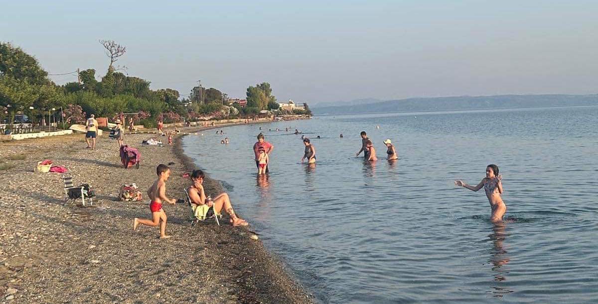 Εύβοια: Δεν υπάρχουν μωβ μέδουσες στην παραλία των Ροβιών – Τι λέει ο αντιδήμαρχος