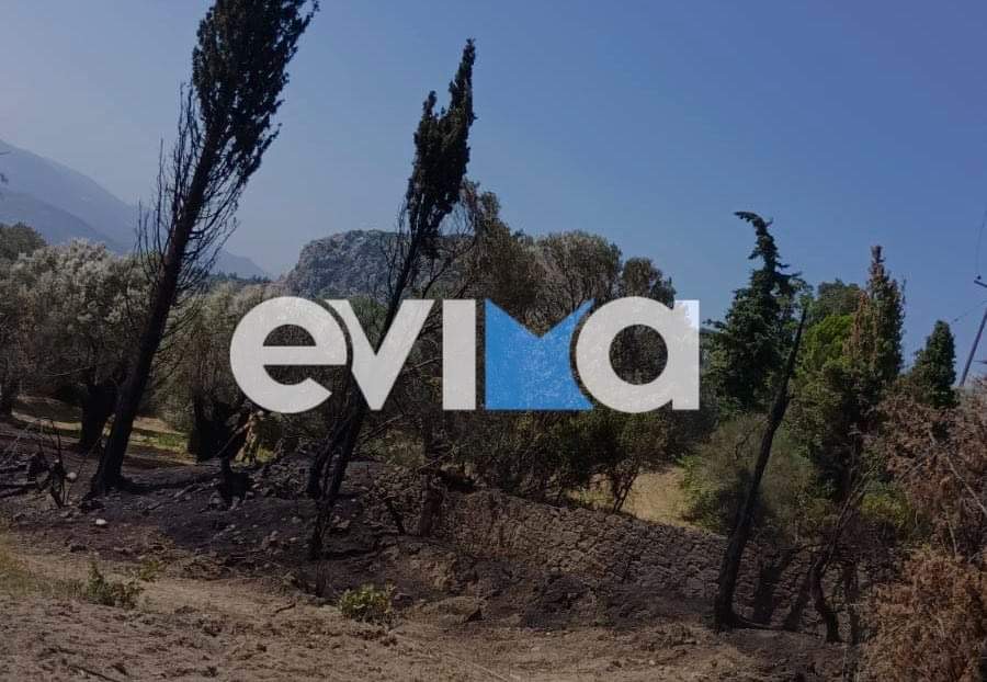 Εύβοια: Έσβησαν τη φωτιά οι πυροσβέστες της Κύμης – «Θα έφτανε στην παραλία», λένε οι κάτοικοι