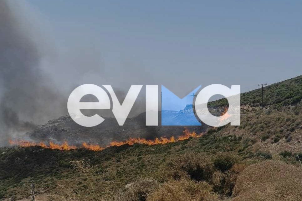 Φωτιά στην Εύβοια: Οι πρώτες εικόνες από το πύρινο μέτωπο στην Κάρυστο