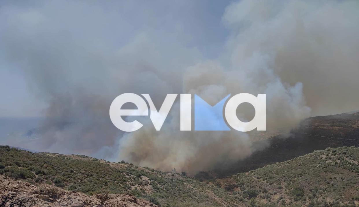 Φωτιά στην Εύβοια: Πύρινος εφιάλτης δίχως τέλος στην Κάρυστο – Τώρα μεγάλη αναζωπύρωση