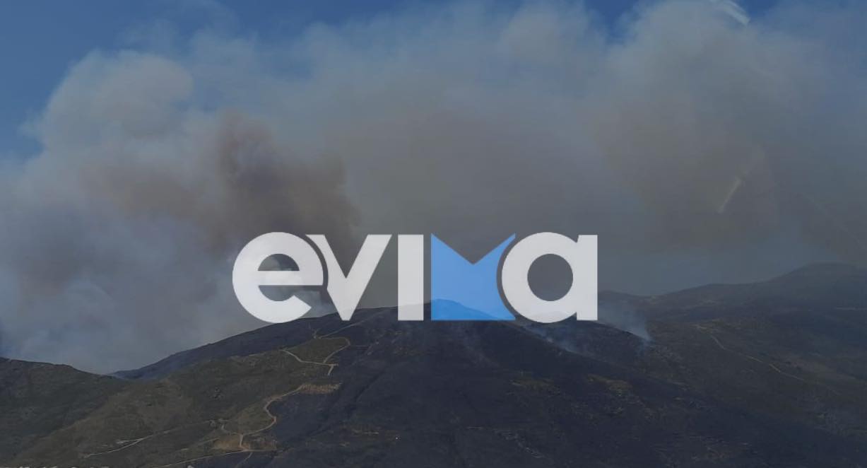 Φωτιά στην Κάρυστο: Εκκενώνεται τώρα το χωριό Πλατανιστός – Νέο μήνυμα από το 112