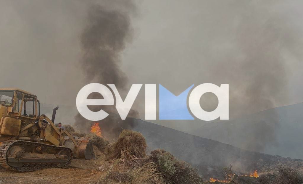 Φωτιά στην Κάρυστο: Συγκλονιστική μαρτυρία κατοίκου – «Η φωτιά μας κυνηγούσε»
