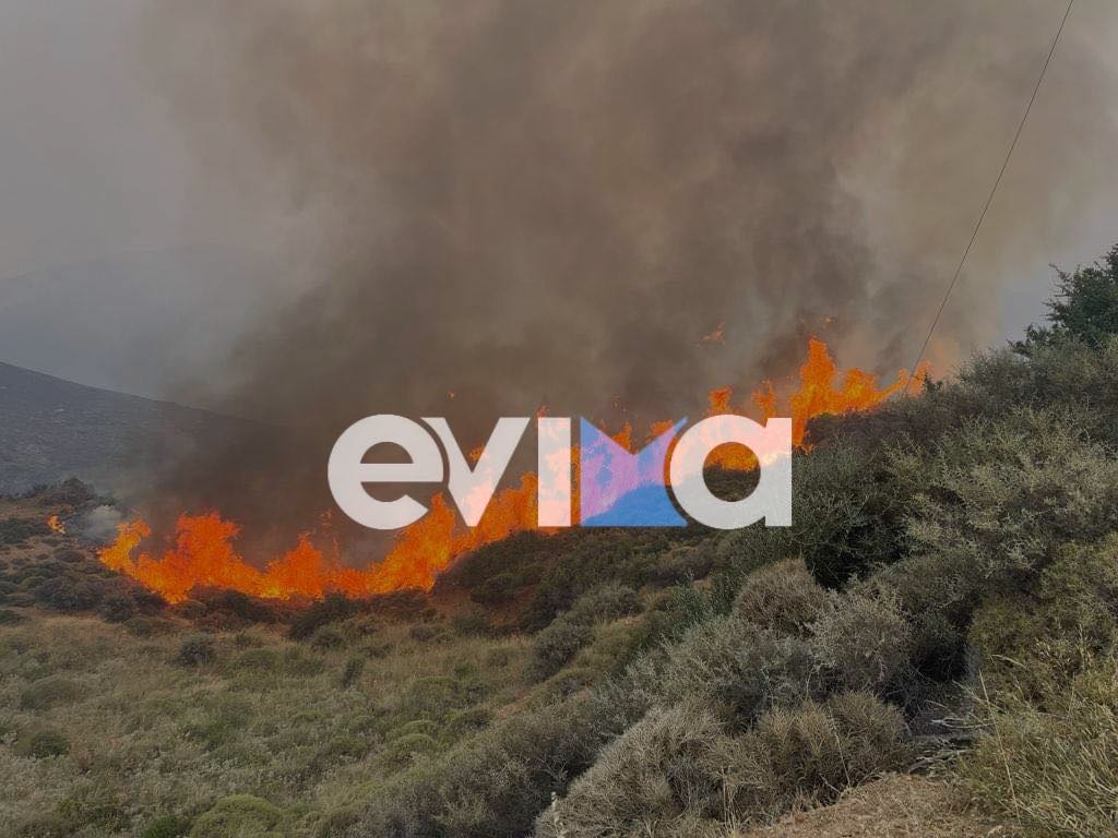Φωτιά στην Εύβοια: Εκκενώθηκε κι άλλο χωριό στην Κάρυστο- Μάχη με τις φλόγες