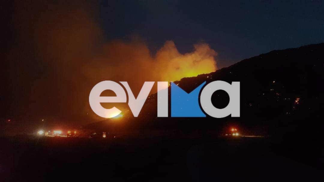 Φωτιά στην Εύβοια: Συνεχίζεται η πύρινη κόλαση για τέταρτη νύχτα στην Κάρυστο