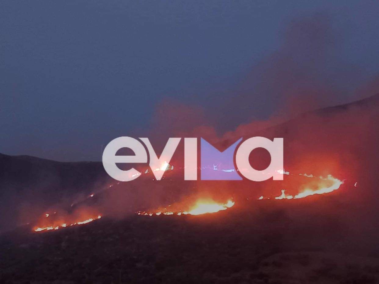 Εύβοια: Μεγάλη φωτιά πίσω από το εργοστάσιο της ΔΕΗ στο Αλιβέρι (pics+vids)