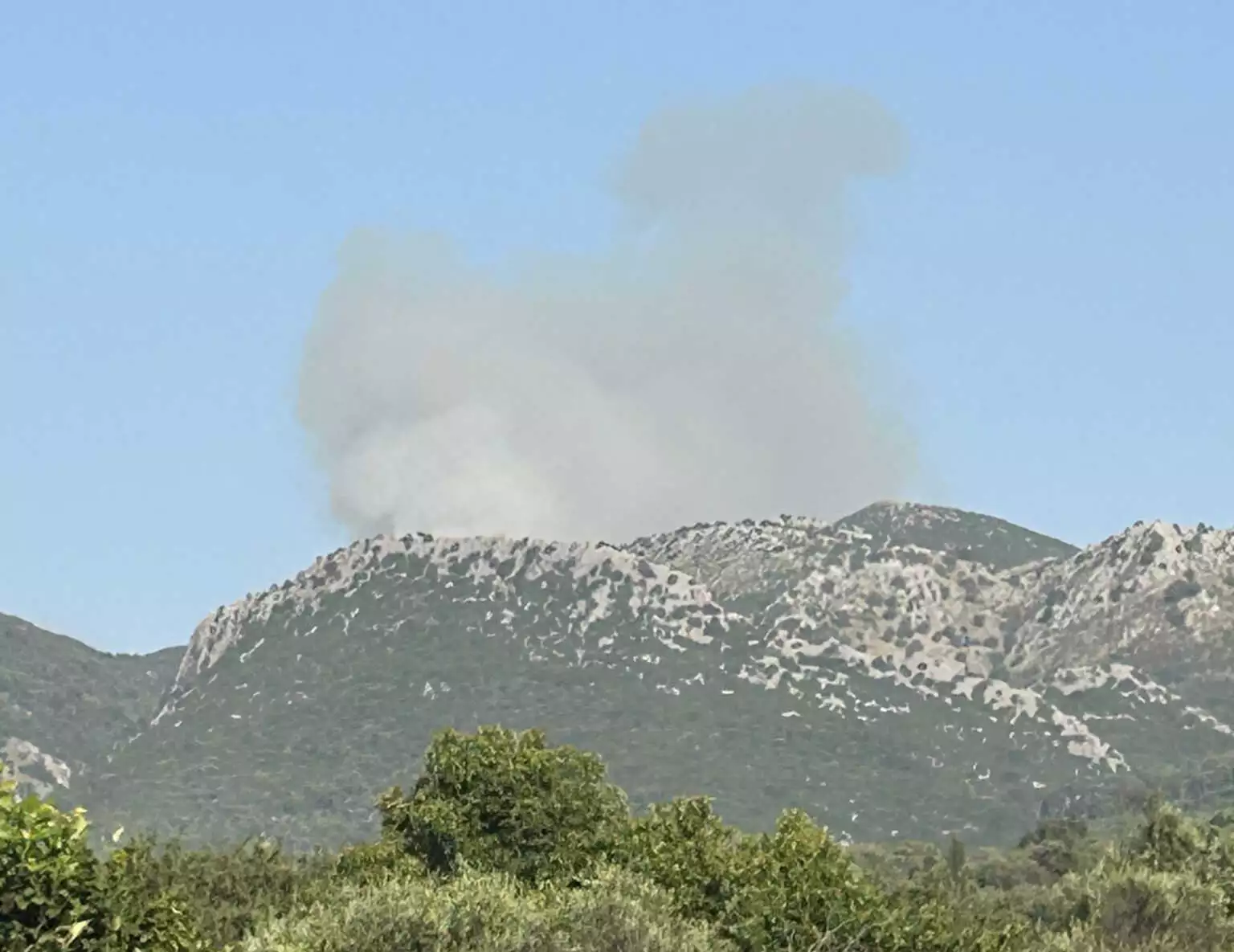 Φωτιά στην Κέρκυρα στην περιοχή Περίθεια – Ισχυρές δυνάμεις στο σημείο Φωτιά στην Κέρκυρα στην περιοχή Περίθεια – Ισχυρές δυνάμεις στο σημείο