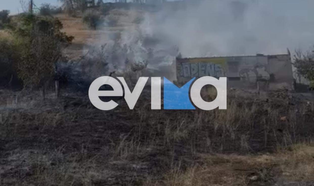 Φωτιά στο Κοντοδεσπότι: «Καλύτερη η εικόνα, είμαστε σε επιφυλακή», λέει ο δήμαρχος στο evima.gr