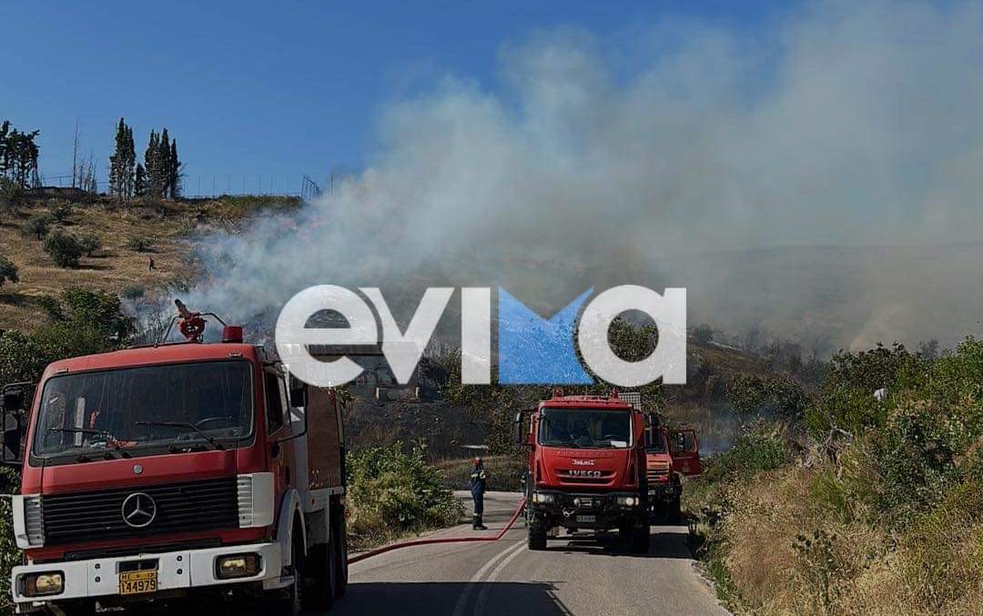 Προσοχή σήμερα στην Εύβοια: Πολύ υψηλός κίνδυνος πυρκαγιάς – Χάρτης
