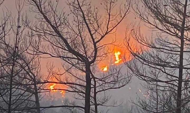 Ανεξέλεγκτη φωτιά στη Ρόδο: Kαίγεται πυκνό δάσος με πεύκα, έχει απλωθεί σε πολλά μέτωπα