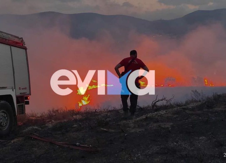 Πορτοκαλί συναγερμός για φωτιά στην Εύβοια – Πού απαγορεύεται η κυκλοφορία