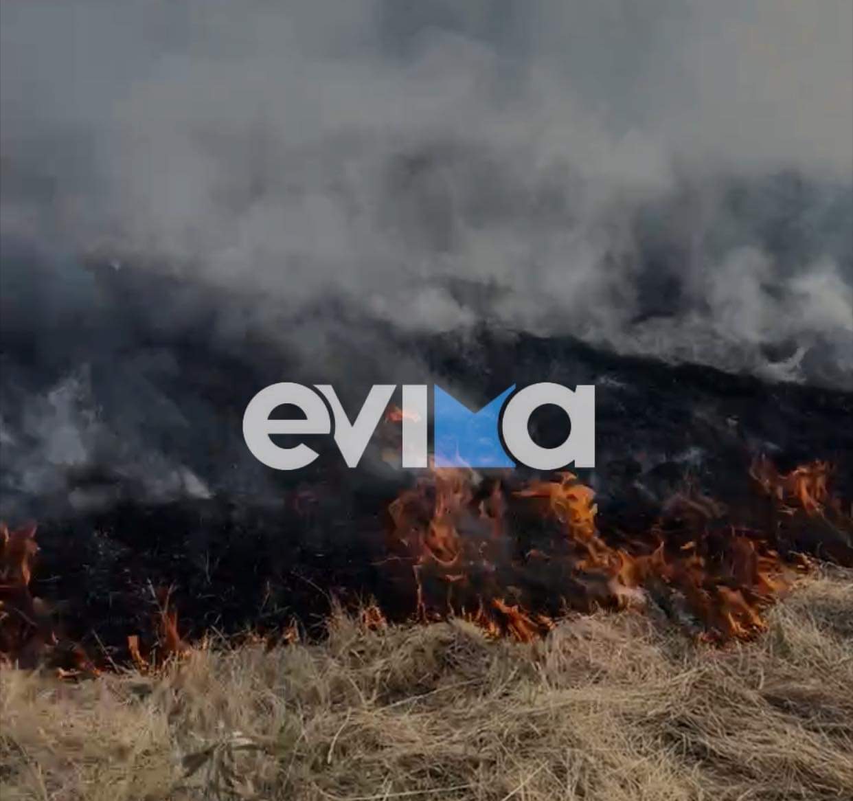 Φλέγεται η Εύβοια: Φωτιά τώρα και στη Ριτσώνα