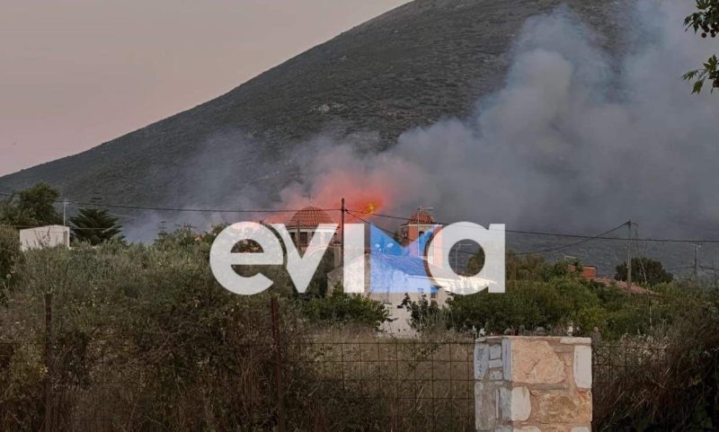 Φωτιά στην Εύβοια: Έτσι η πυροσβεστική βρήκε τον υπαίτιο για την πυρκαγιά στο Μηλάκι