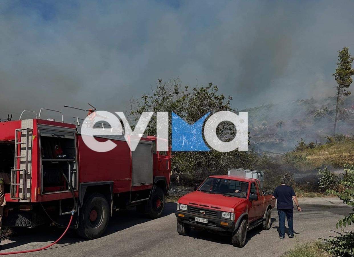 Νέα μεγάλη φωτιά στην Εύβοια – Καίει δασική έκταση  στο Κοντοδεσπότι – Οι πρώτες εικόνες