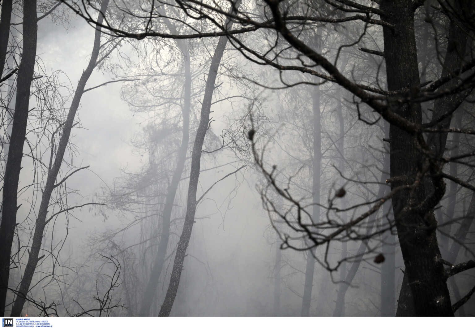 Φωτιά στον Βαρνάβα, καίει κοντά σε μοναστήρι