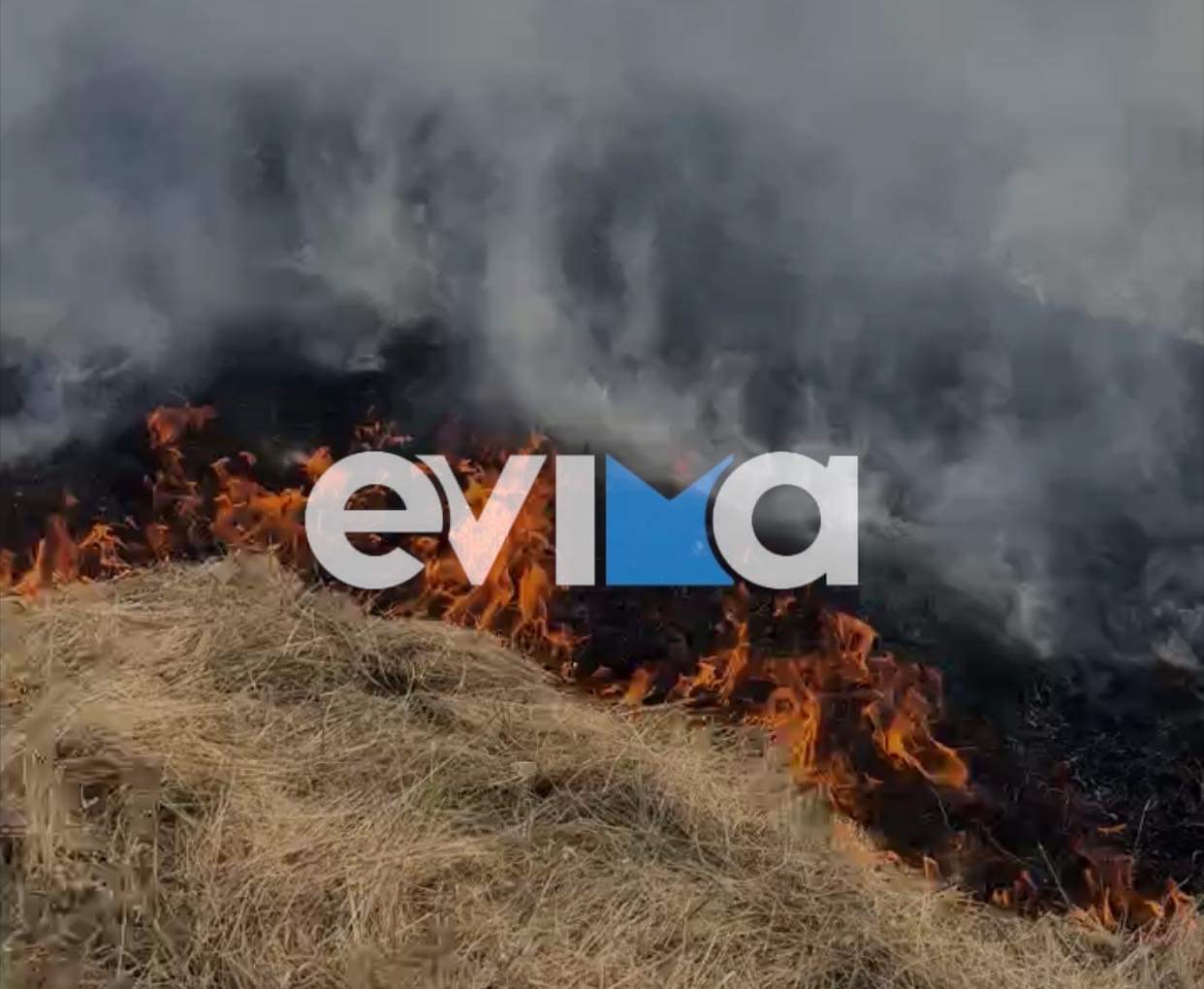 Εύβοια: Φωτιά σε δασική έκταση στο Πανόραμα