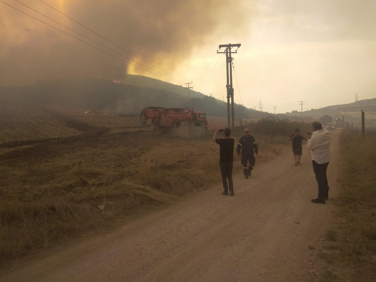 Κόλαση φωτιάς σε Βελεστίνο, Αλμυρό, Λαμία, Ρόδο: Εκκενώσεις οικισμών, κάηκαν σπίτια, αγνοείται κτηνοτρόφος στο Βόλο