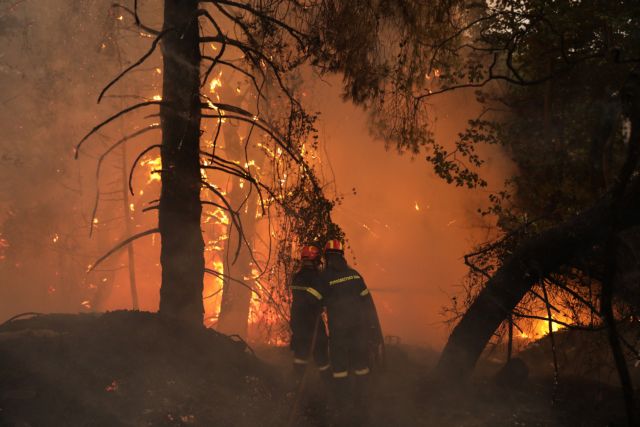 Φωτιές στην Ελλάδα: Επιδότηση στέγασης 300 έως 500 ευρώ στους πυρόπληκτους