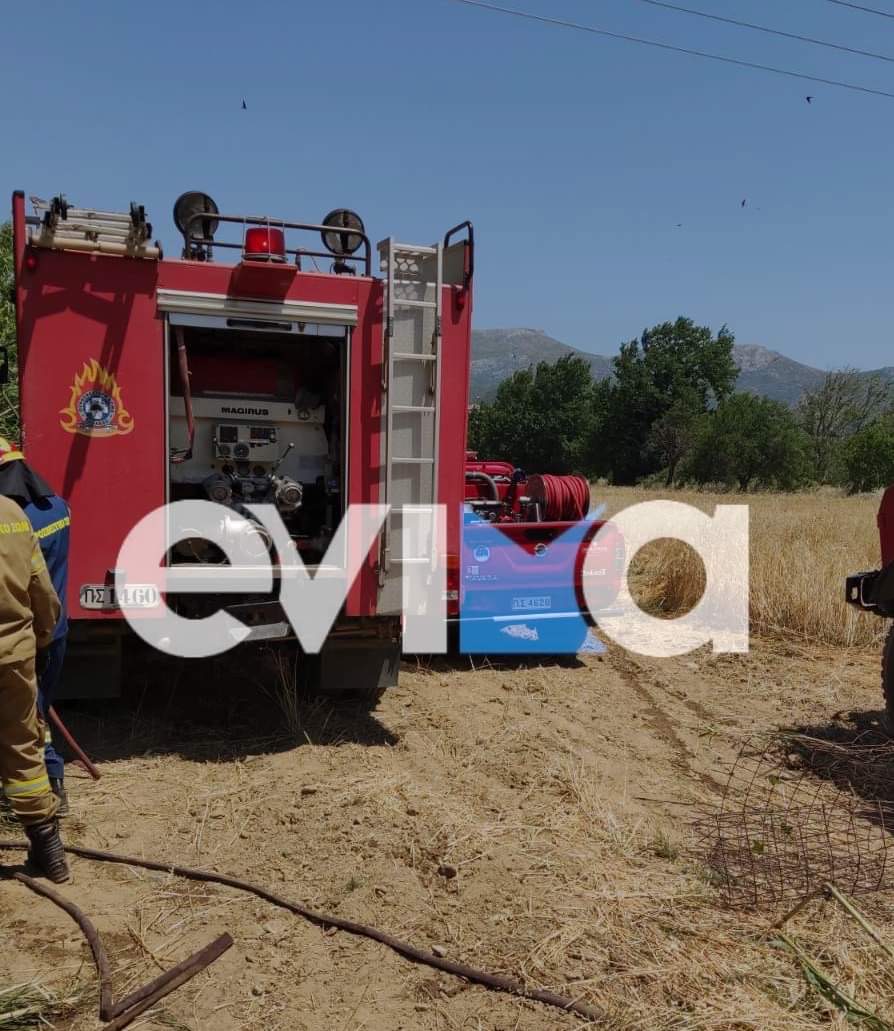 Λήξη συναγερμού για νέα φωτιά στην Εύβοια