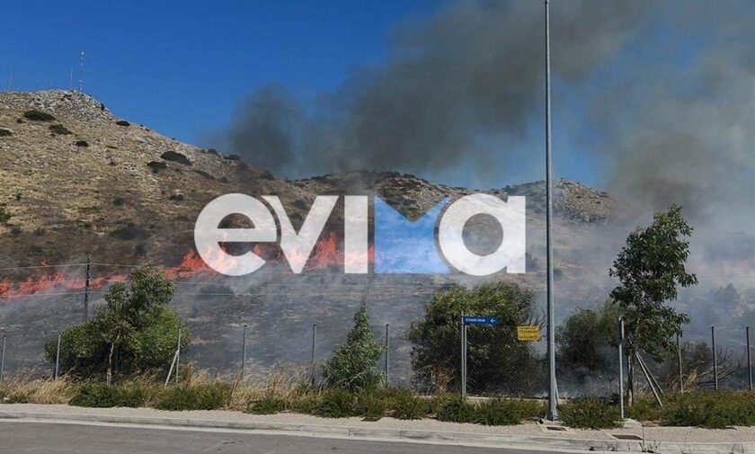 Σε συναγερμό η Πολιτική Προστασία του Δήμου Χαλκιδέων: Πολύ υψηλός κίνδυνος πυρκαγιάς