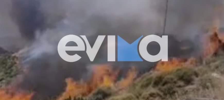 Φωτιά στην Εύβοια: Οι επικίνδυνοι ασυνείδητοι και οι πιθανοί εμπρηστές