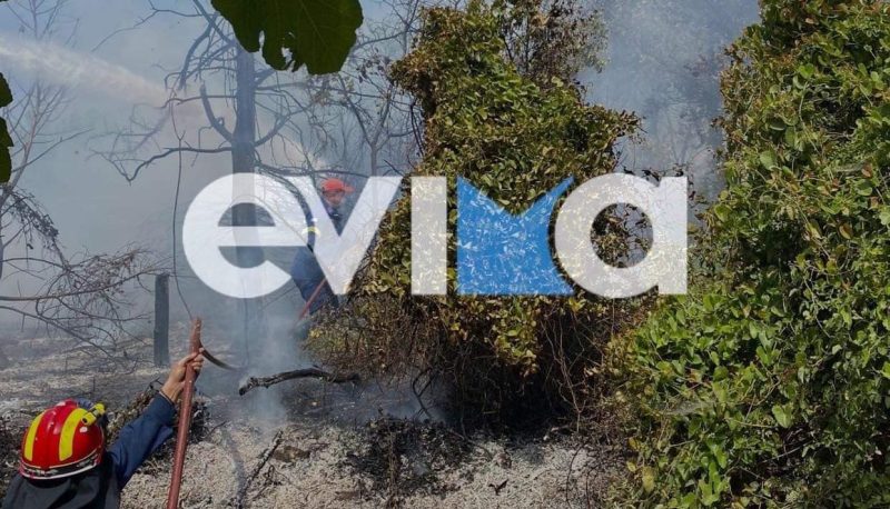 Συναγερμός για φωτιές και σήμερα στην Εύβοια: Σε κίνδυνο επιπέδου 4 η Χαλκίδα