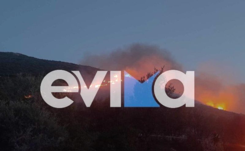 Υψηλός κίνδυνος πυρκαγιάς και σήμερα στην Εύβοια – Οδηγίες από την Πολιτική Προστασία