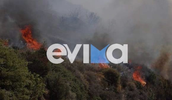 Μεγάλη φωτιά τώρα στην Εύβοια – Τρία τα μέτωπα στη Κάρυστο