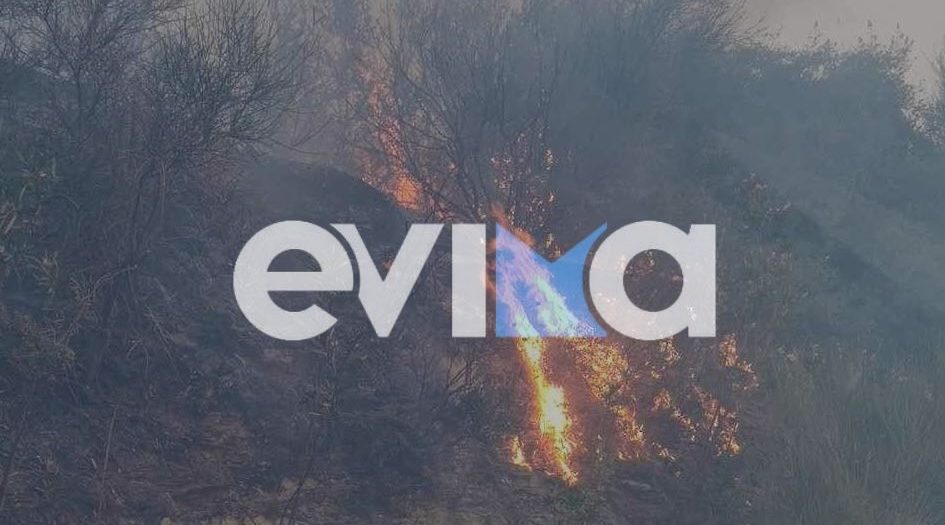 Φωτιά στην Εύβοια: «Η πυρκαγιά δεν θα κλείσει σήμερα», δήλωσε ο εκπρόσωπος της Πυροσβεστικής
