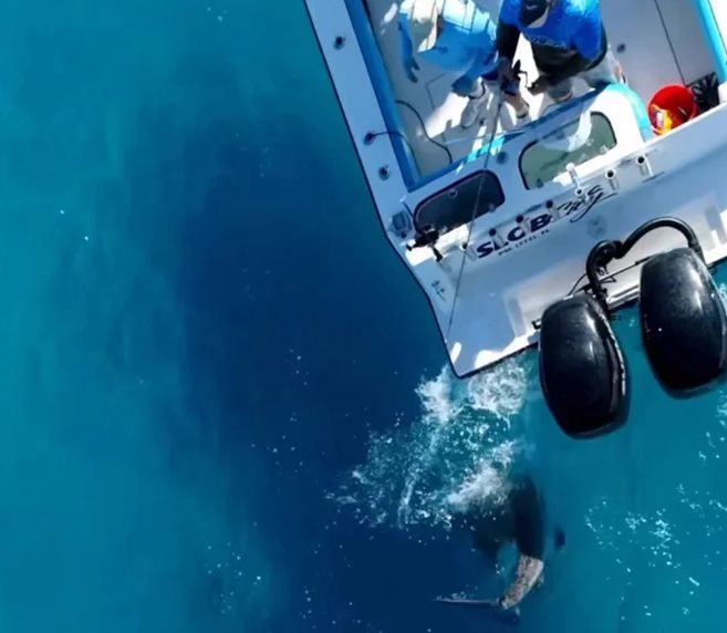 Βίντεο σοκ: Καρχαρίας εμβολίζει με μανία αλιευτικό σκάφος