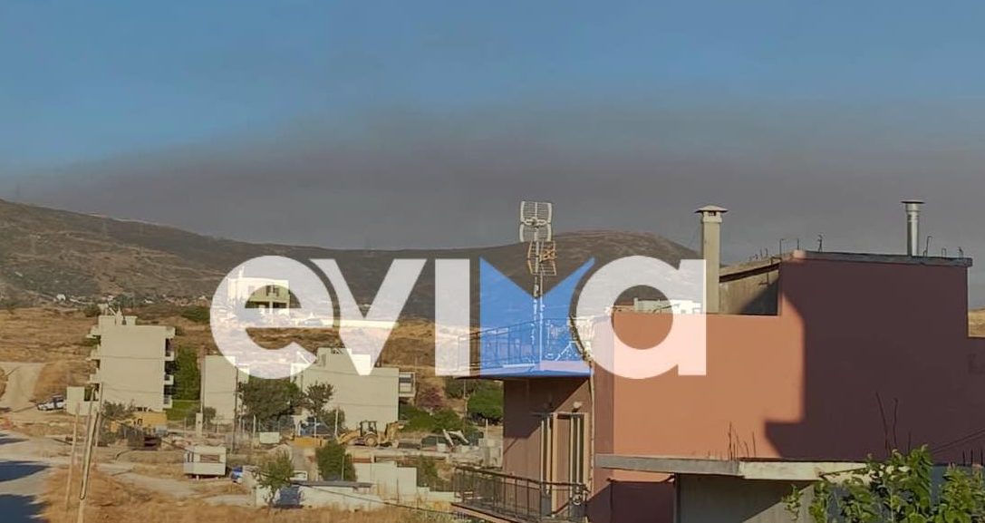Εύβοια: Ο καπνός από την φωτιά στο Τσανάκαλλε έφτασε μέχρι και την Κάρυστο
