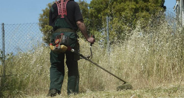 Εύβοια: H κοινότητα που ενημερώνει με sms για τον καθαρισμό των οικοπέδων