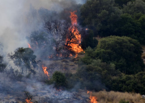 Καλύτερη η εικόνα από τη φωτιά στο Μαρκόπουλο Ωρωπού – Δεν απειλούνται σπίτια