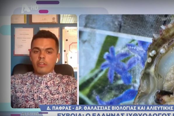 Εύβοια: Ιχθυολόγος βγάζει μαργαριτάρια από όστρακα στον Νότιο Ευβοϊκό