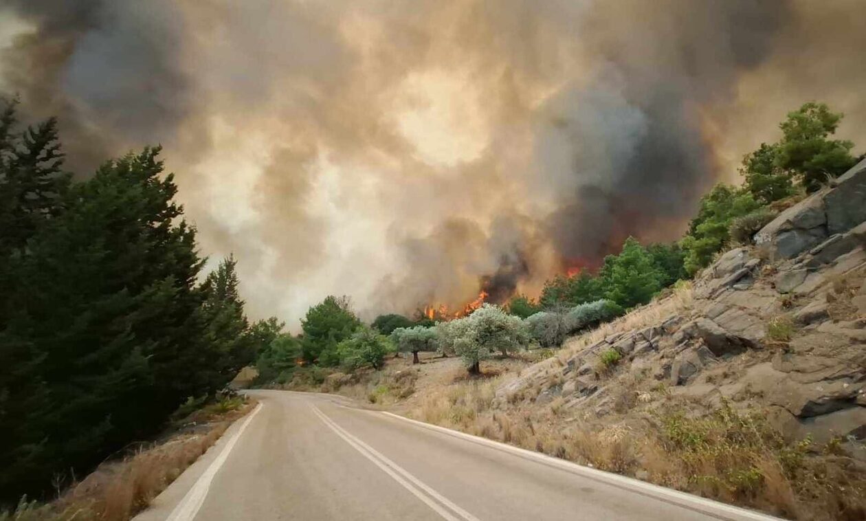 Χατζημάρκος για Ρόδο: Λειτουργούν 35 από τα 41 ξενοδοχεία που εκκενώθηκαν