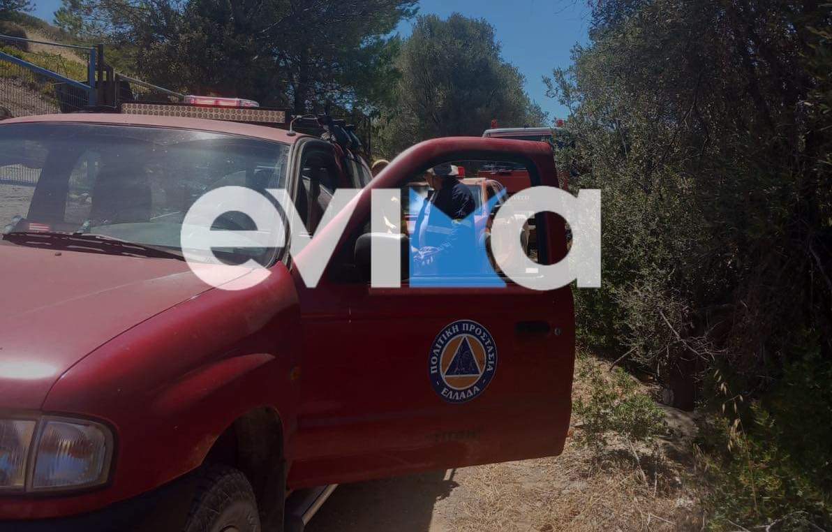 Εύβοια: Υπό έλεγχο η φωτιά στην Πούντα Αλιβερίου