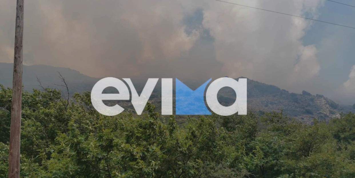 Μεγάλη φωτιά στην Εύβοια, καίει σε δύσβατη περιοχή – Οι πρώτες εικόνες