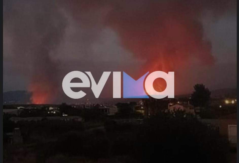 Φωτιά στην Εύβοια: Μια ανάσα από τις φλόγες γνωστή επιχείρηση