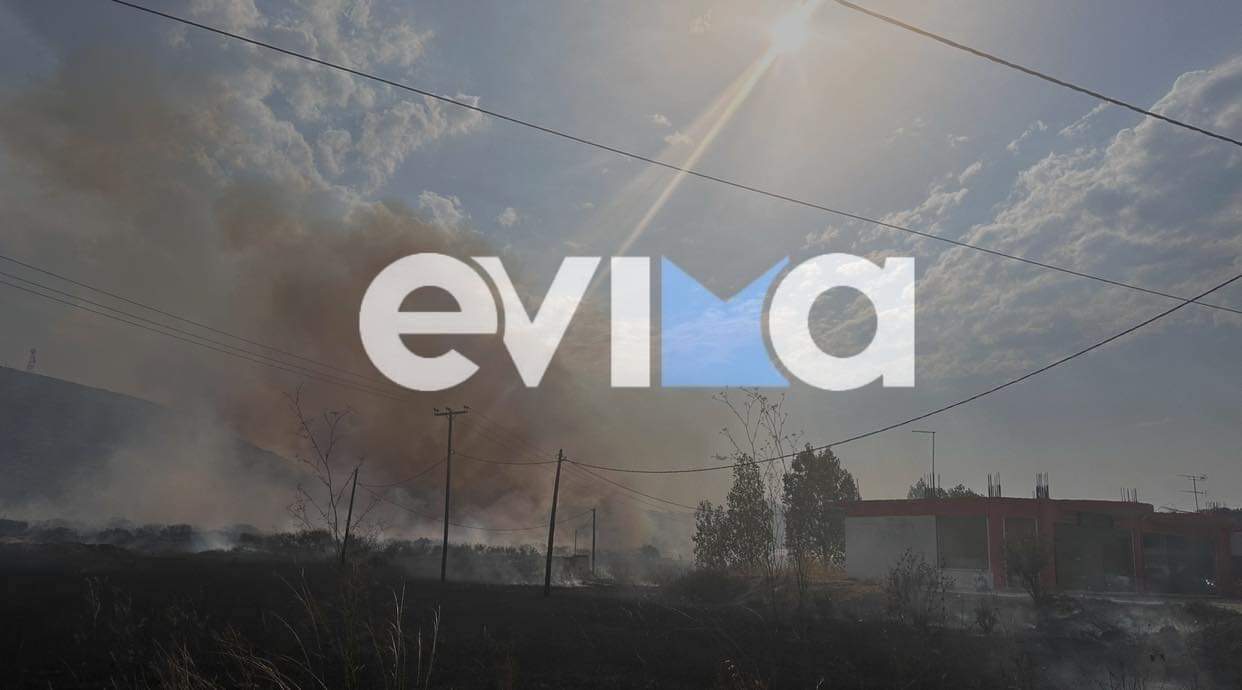 Φωτιές στην Εύβοια: Αναζητούνται δύο ύποπτοι για εμπρησμό