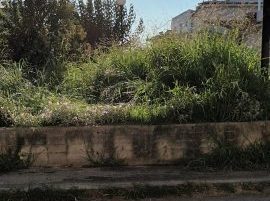 Εύβοια: Προβληματίζουν οι εικόνες εγκατάλειψης στο Κλειστό Χαλκιά- Αναστασιάδη