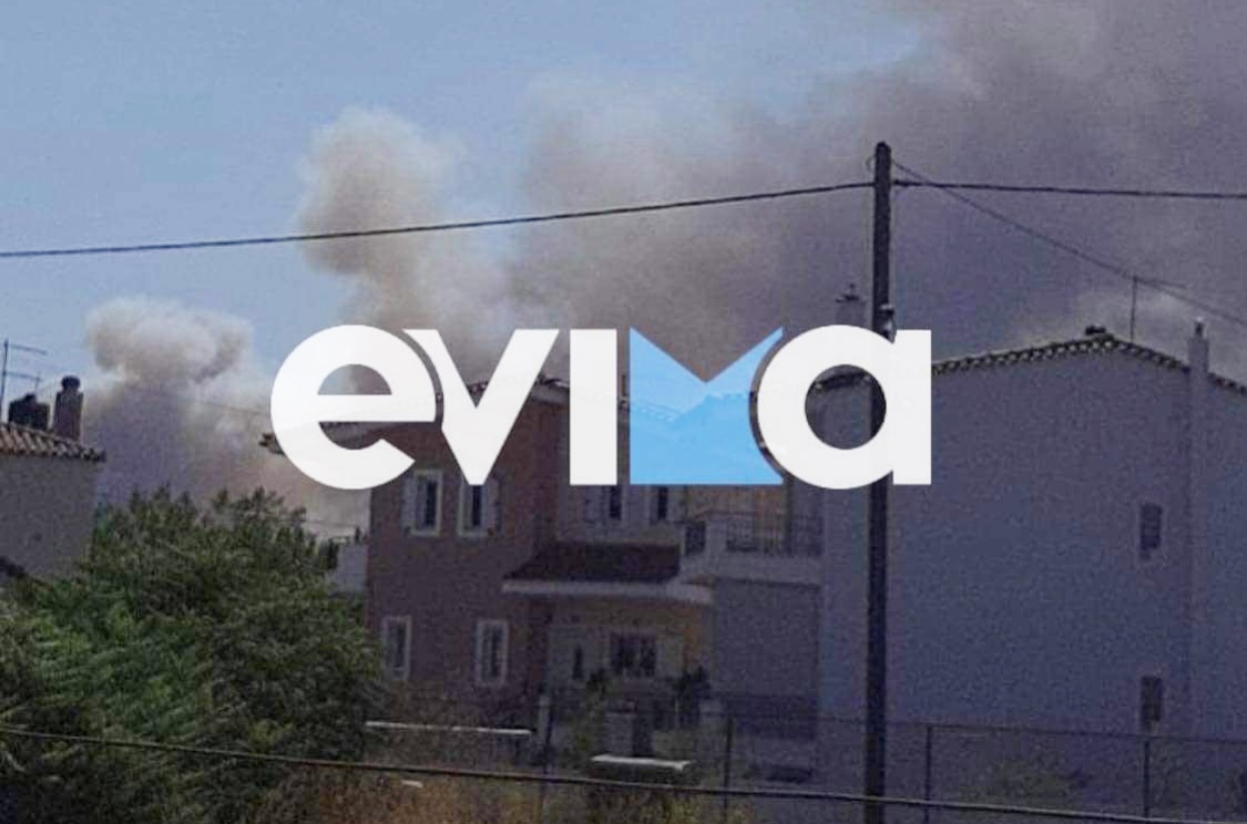 Φωτιά στην Εύβοια: Οι φλόγες απειλούν τα πρώτα σπίτια στα Ψαχνά – Ήχησε το 112